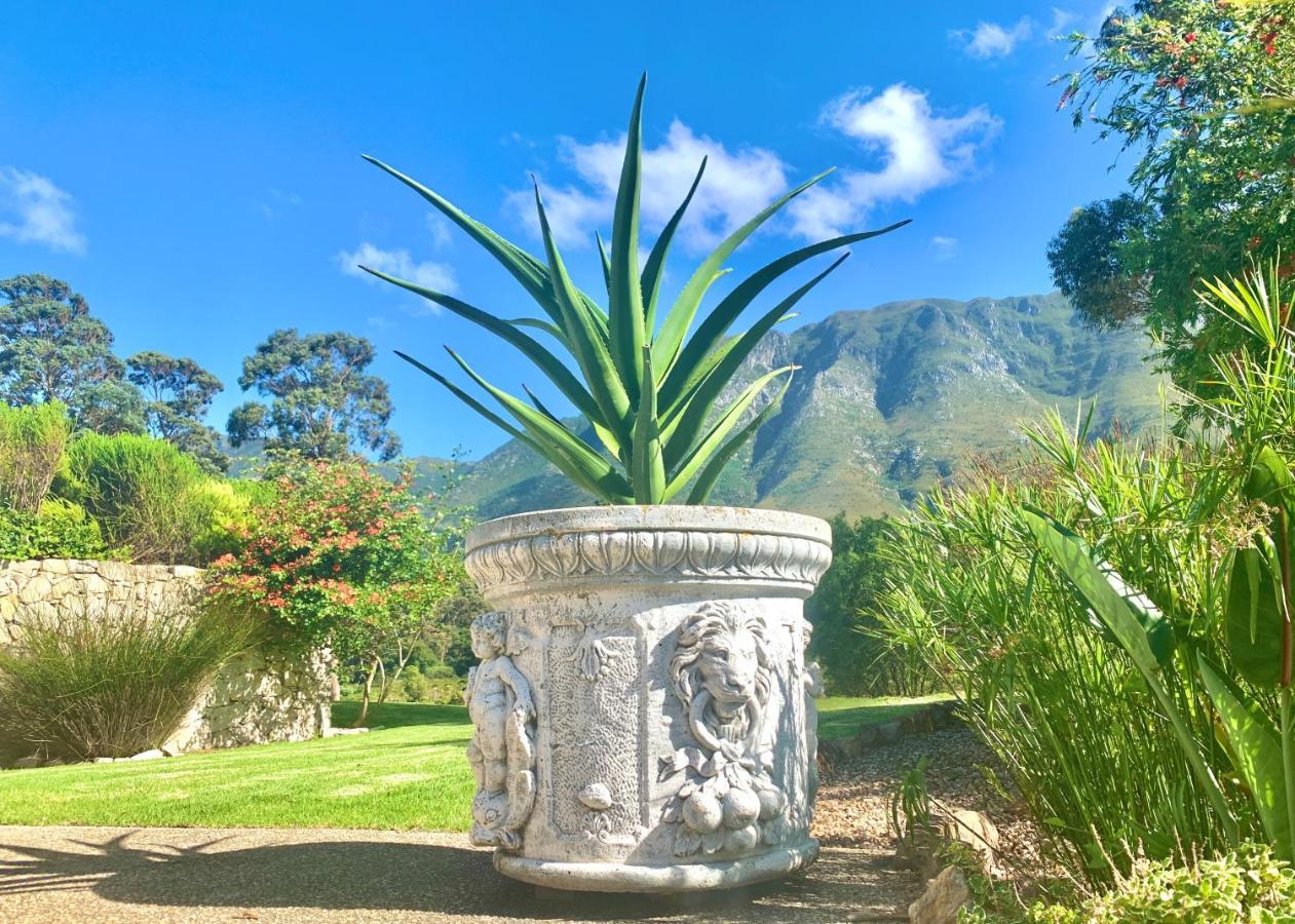 The Guardian Hermanus Luxury Self-Catering Hemel En Aarde Valley Luaran gambar
